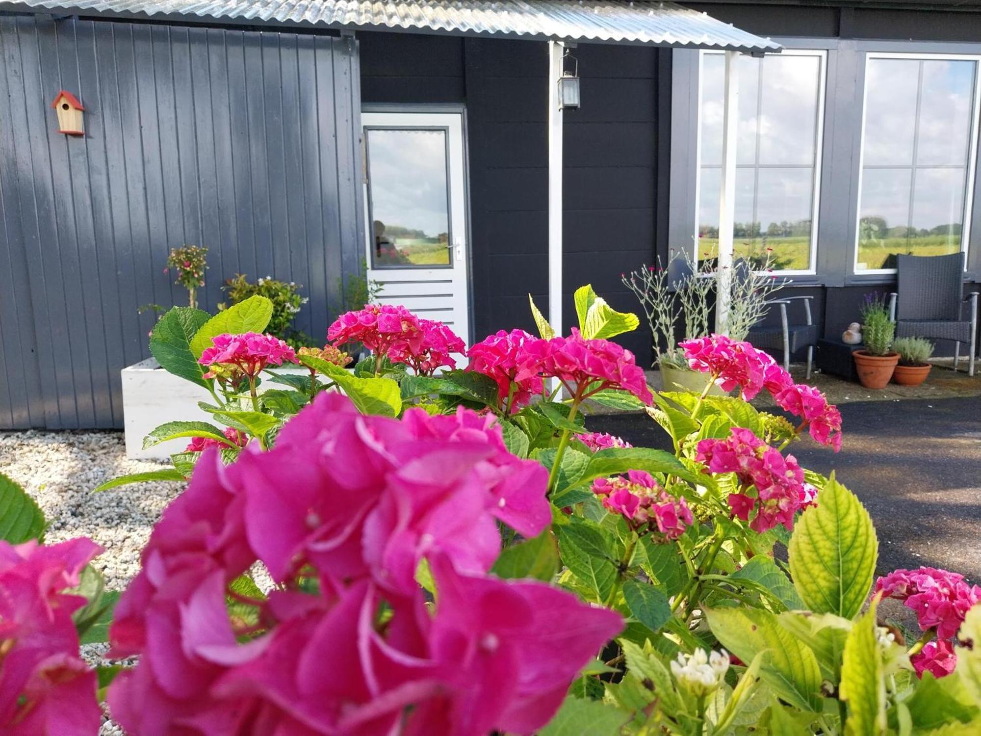 Vakantiewoning Hem المظهر الخارجي الصورة