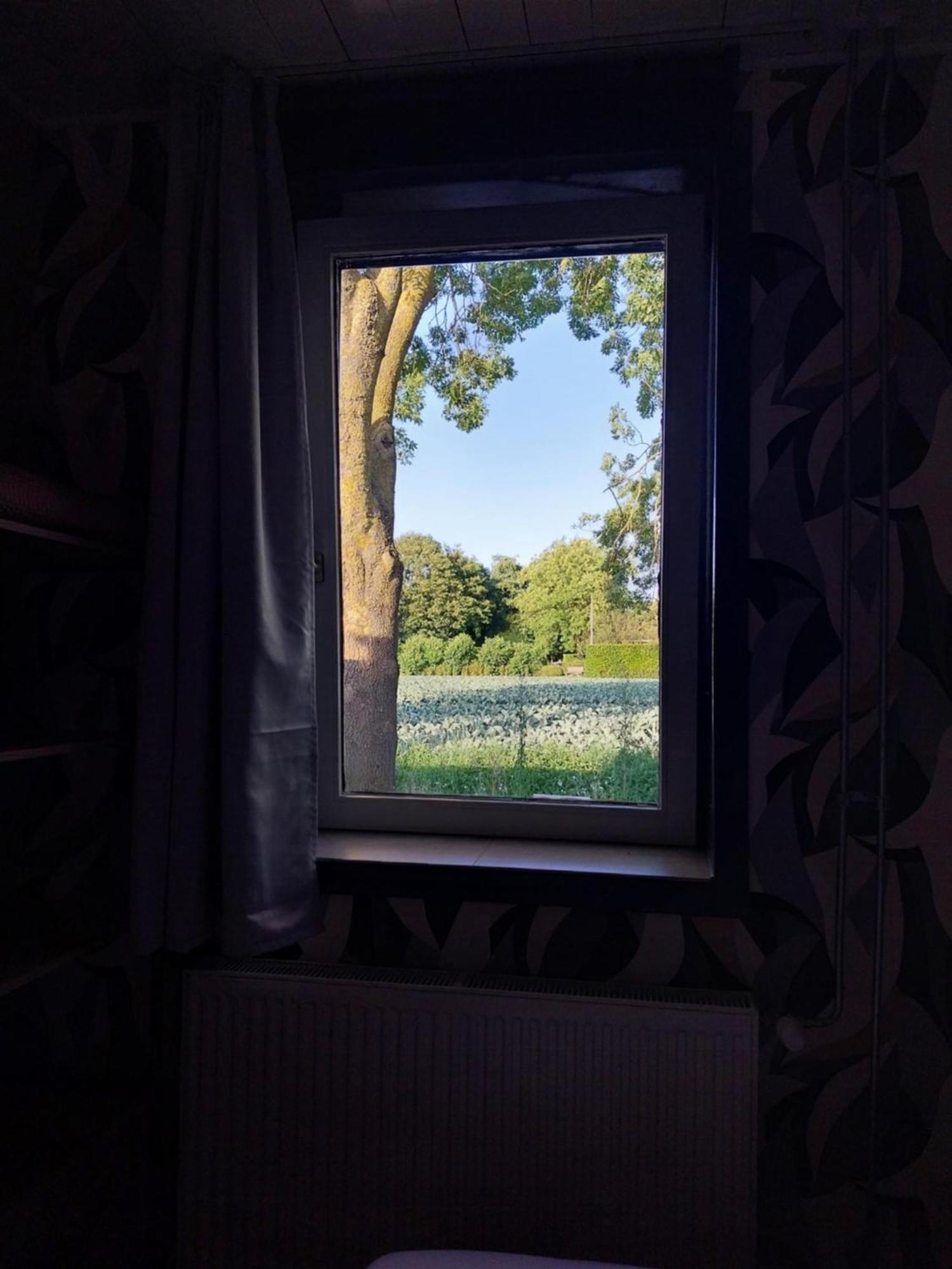 Vakantiewoning Hem المظهر الخارجي الصورة